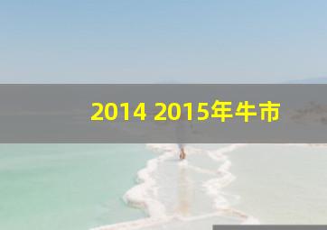 2014 2015年牛市